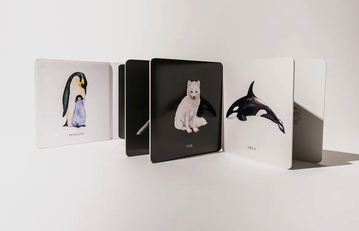 Baby’s Black & White Contrast Book